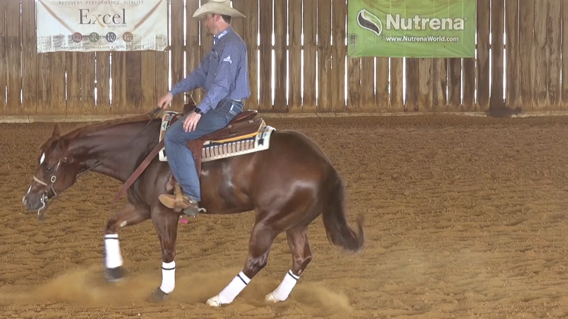 Programming 9 - The Spins Exercise 2