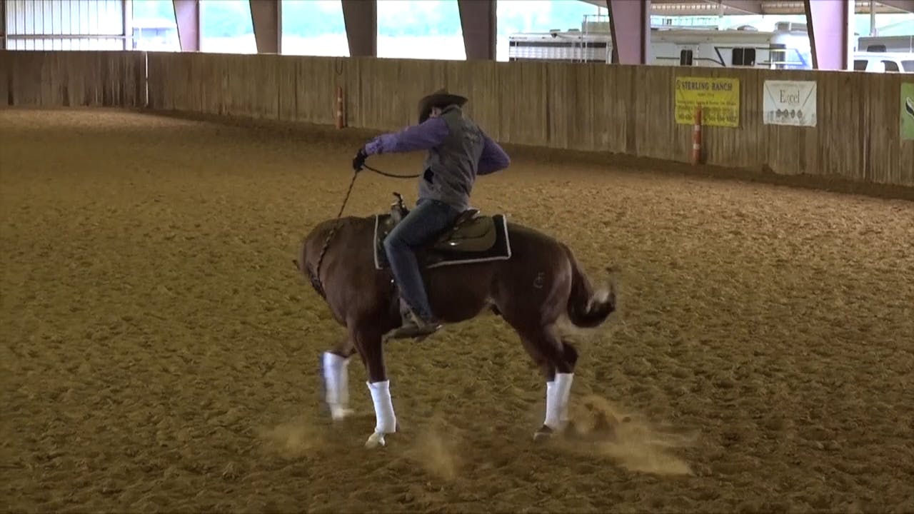 Lateral Hip Control Part2 The Foundation Horse Training Pro The