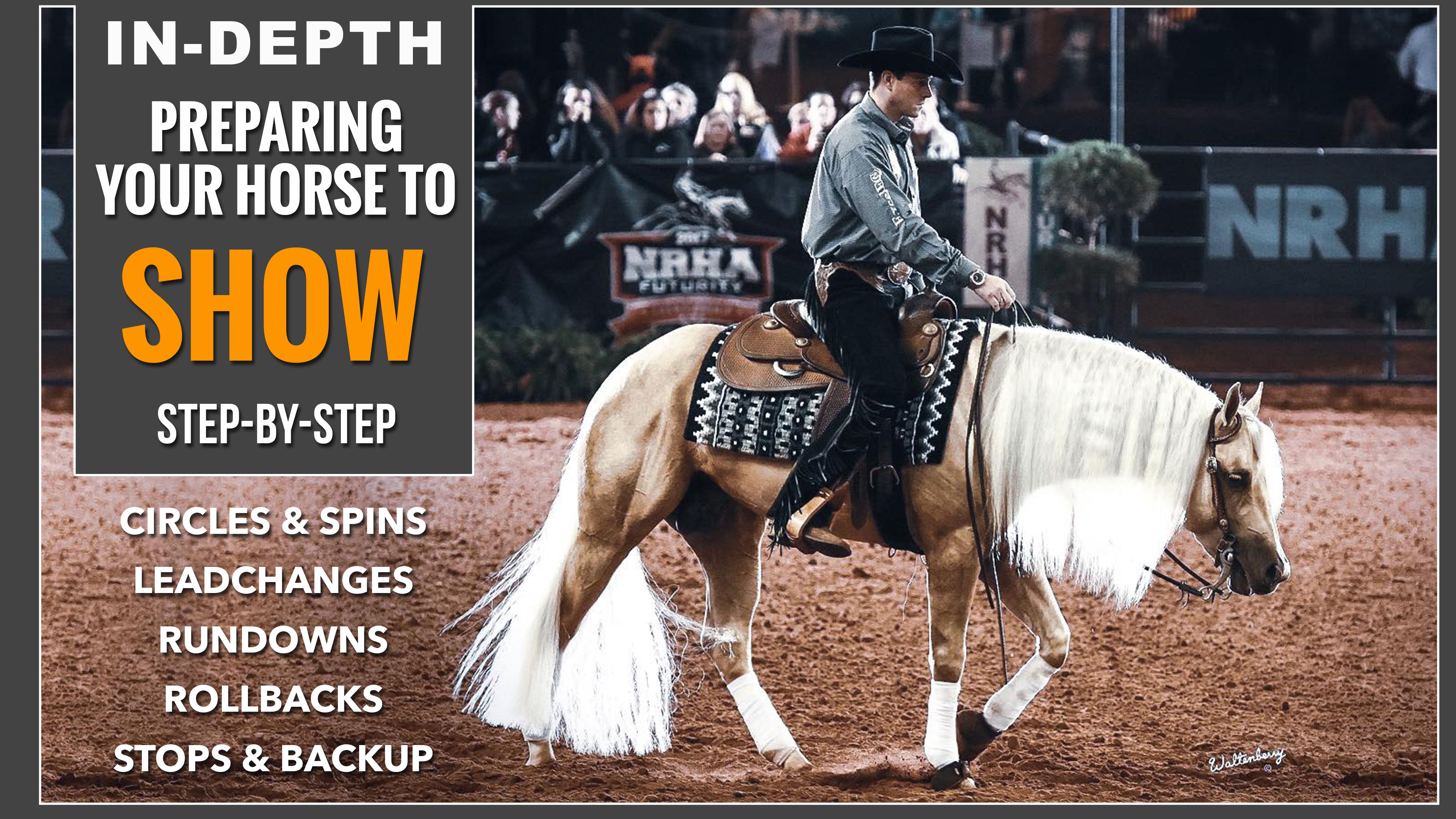 Preparing Your Horse To Show