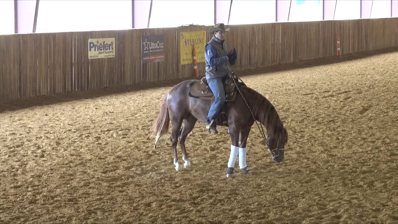 The Foundation The Backup 1 Introducing the backup The Foundation