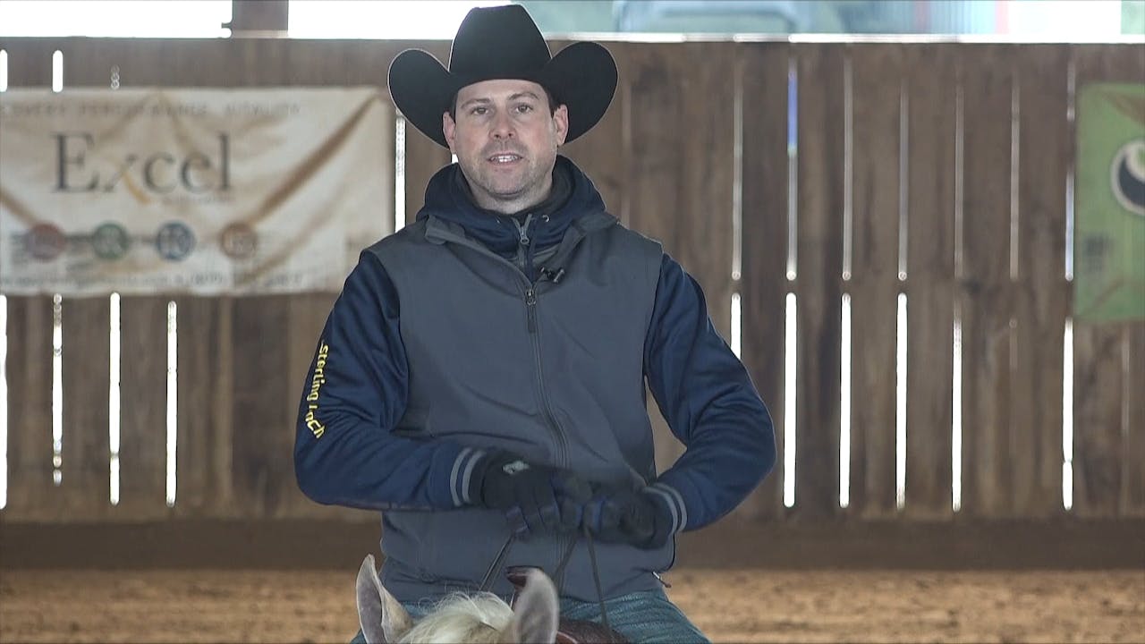 2 Preparing to Show Spins Preparing Your Horse To Show Horse