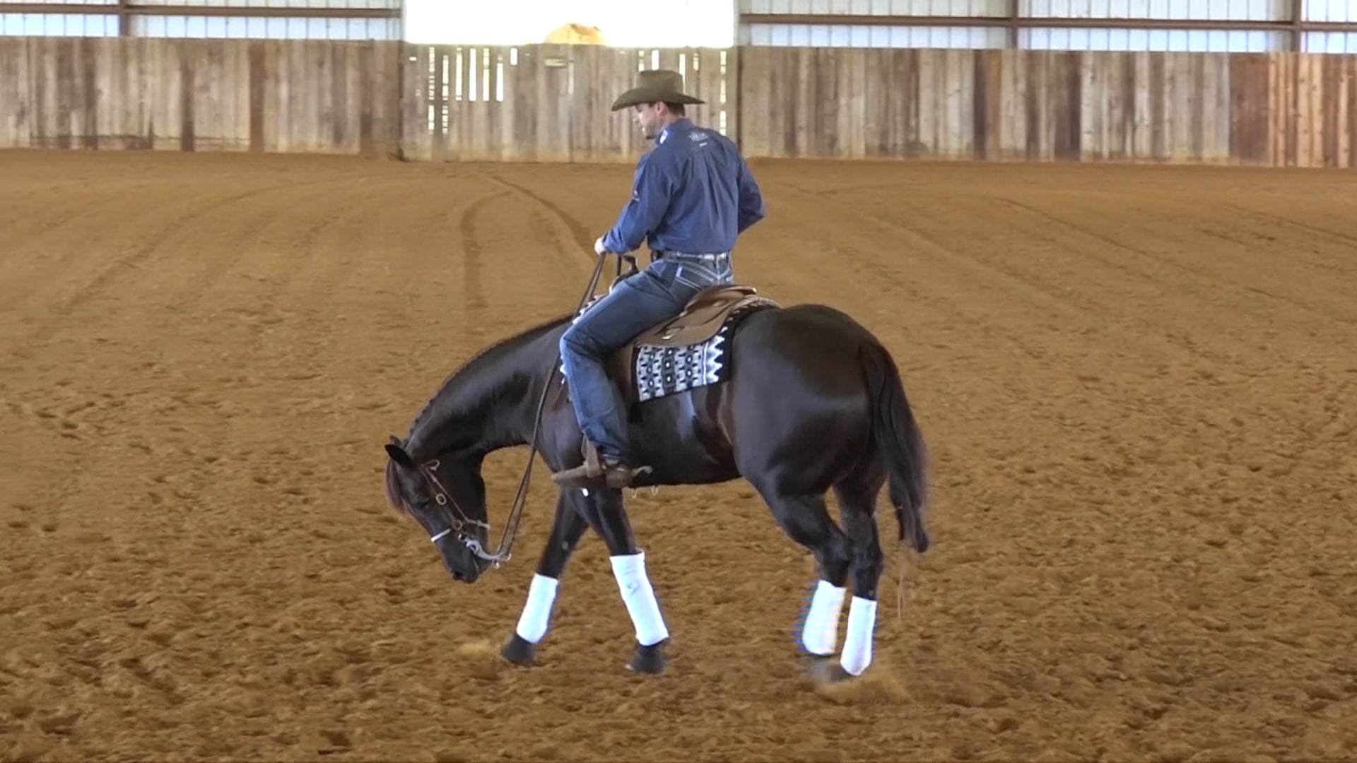 Step 4 - Hind Quarters