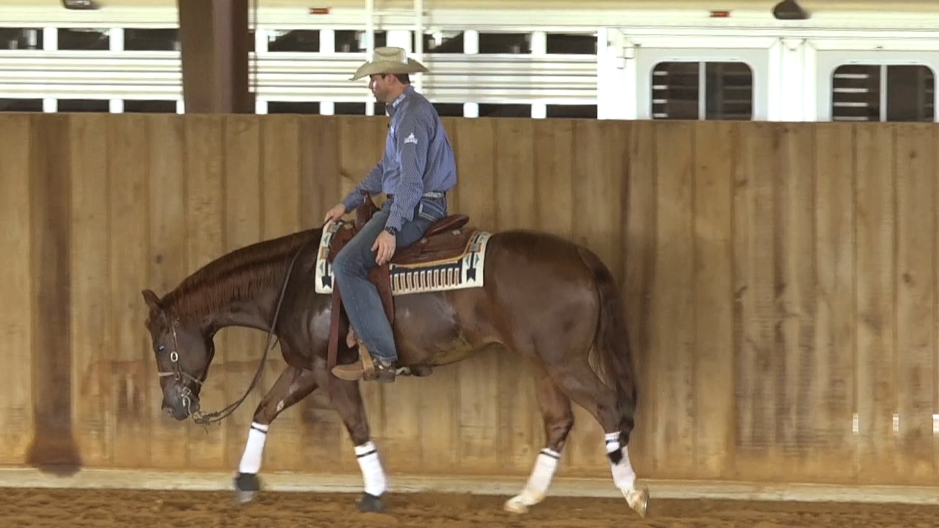 Programming 13 - Rollbacks & Backup