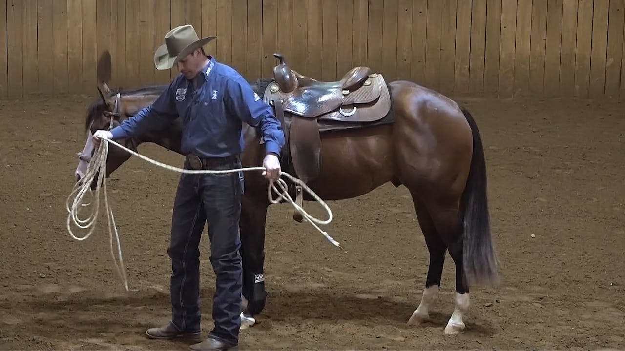 The Foundation Long Lines The Foundation Horse Training Pro The