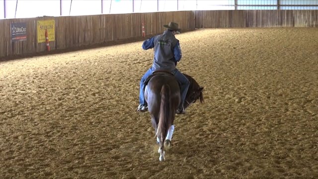 The Foundation - Flexions In Motion