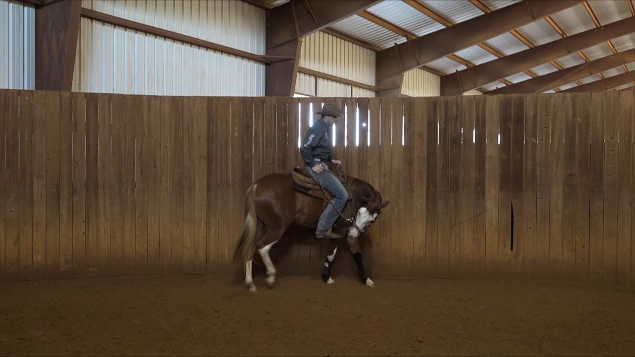 First Rides Step1 The Foundation Horse Training Pro The Comfort