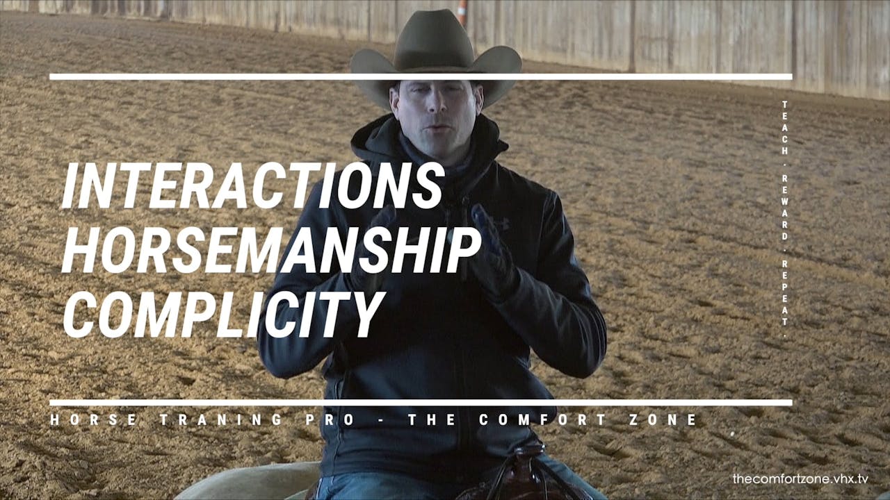 5 of 5 Interactions Fundamentals to Get Your Horses More Broke