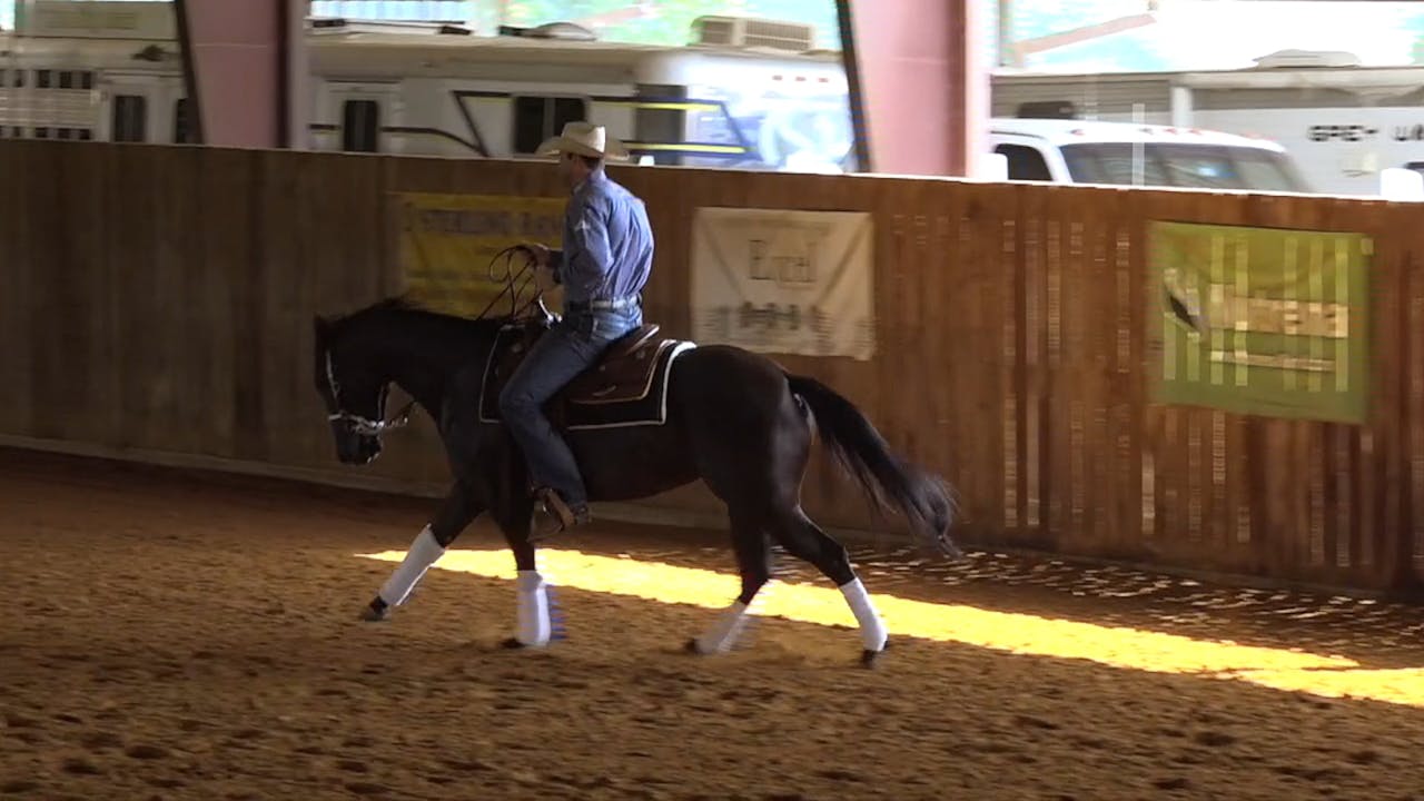 Indirect Rein 5 Lead Changes Transitioning to One Hand Indirect