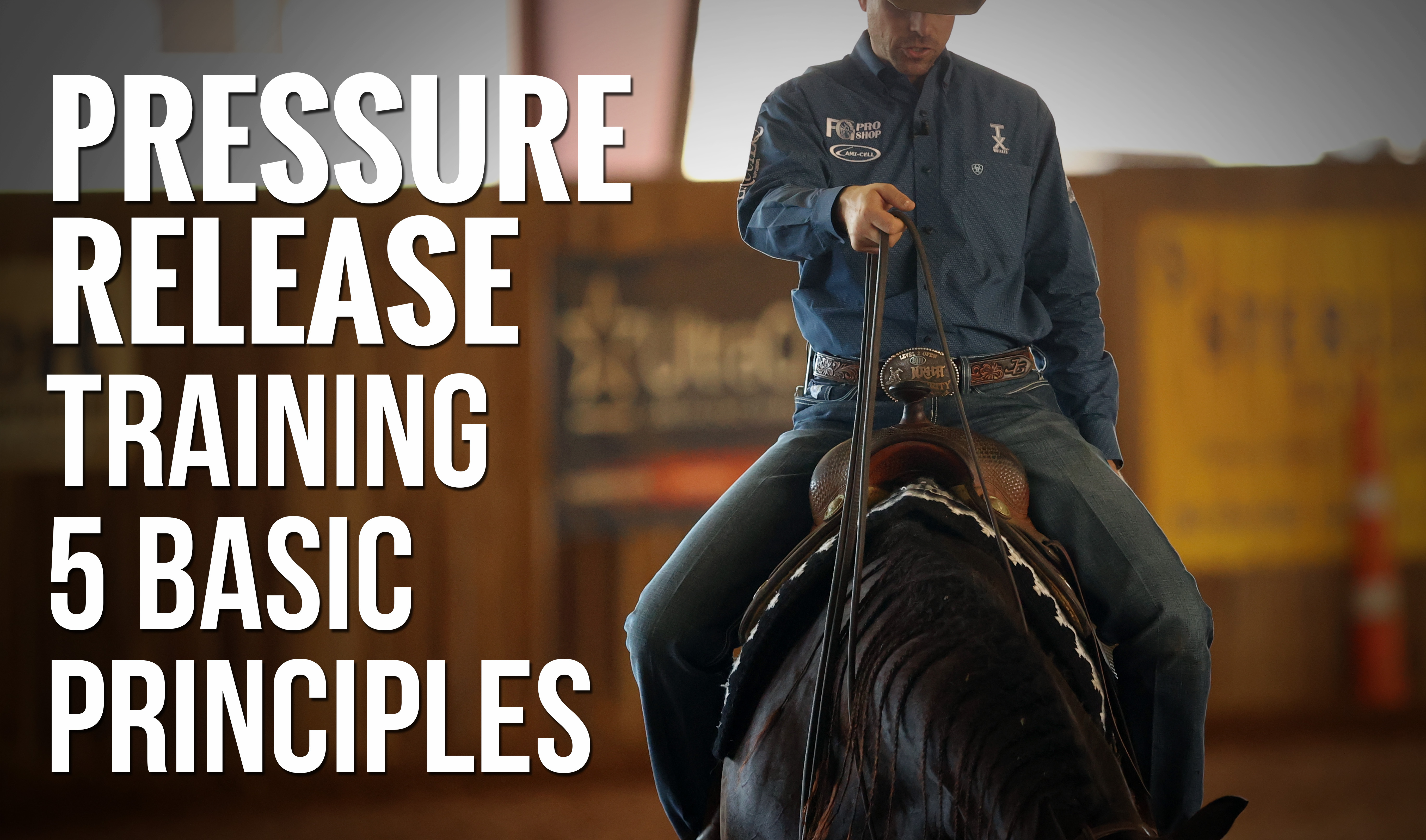 Pressure & Release Training 5 Basic Principles Horse Training Pro