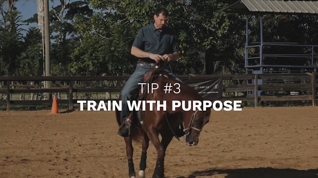 Basics 3 - Train With Purpose