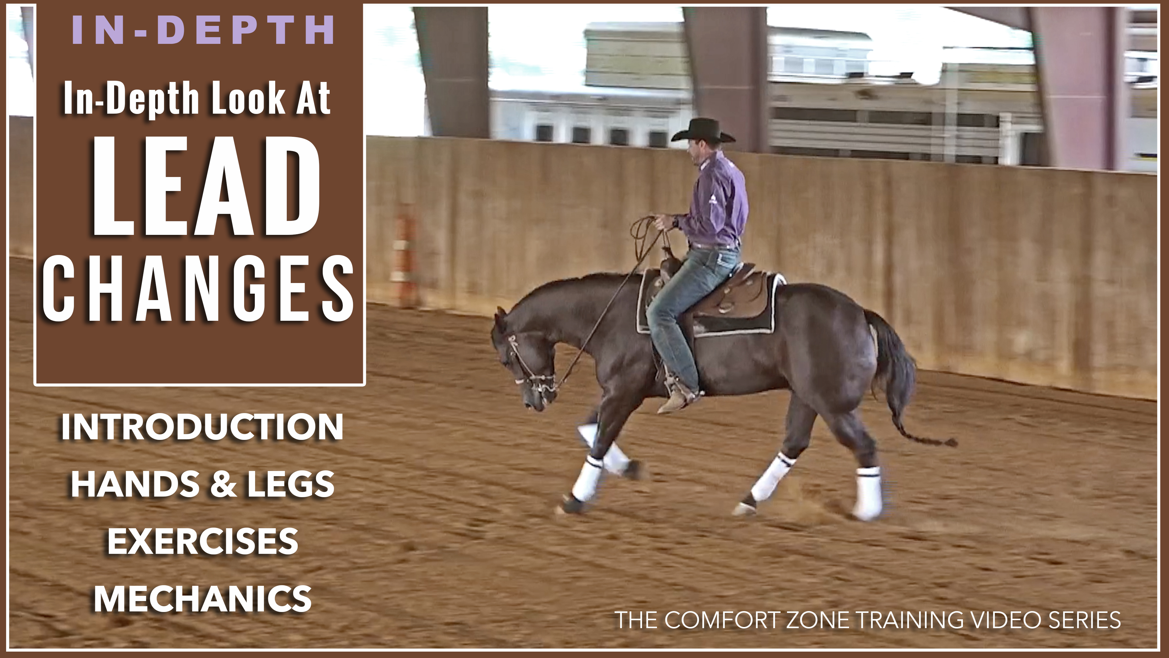 Lead Changes Horse Training Pro The Comfort Zone Horse Training