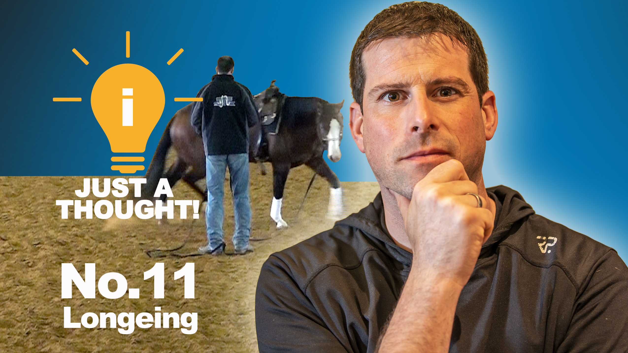 Just a thought! No.11 On Longing Your Horses