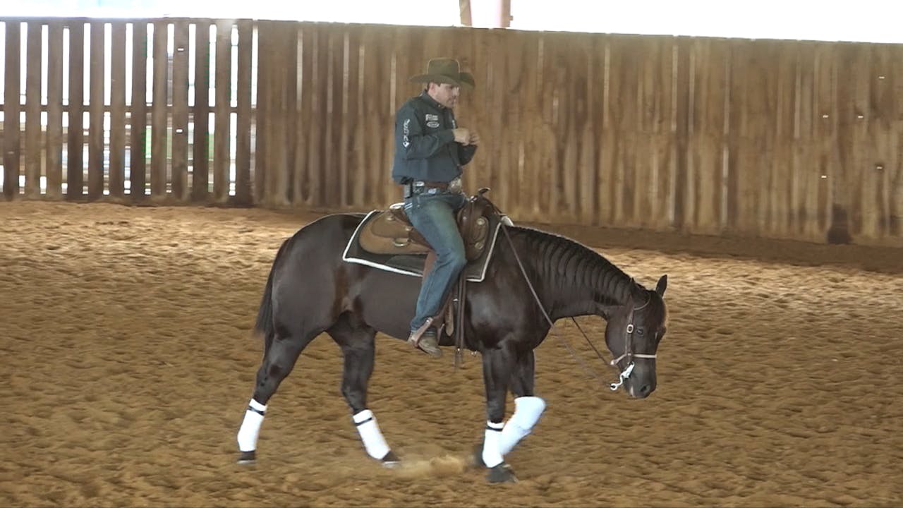 Optimizing the Stops Step3 Optimizing the Stops & Rundowns Horse