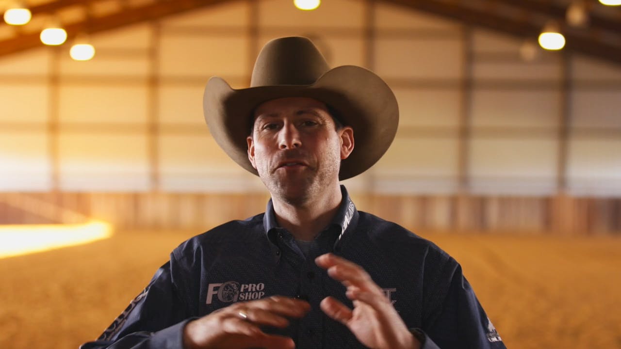 The Foundation Introduction The Foundation Horse Training Pro