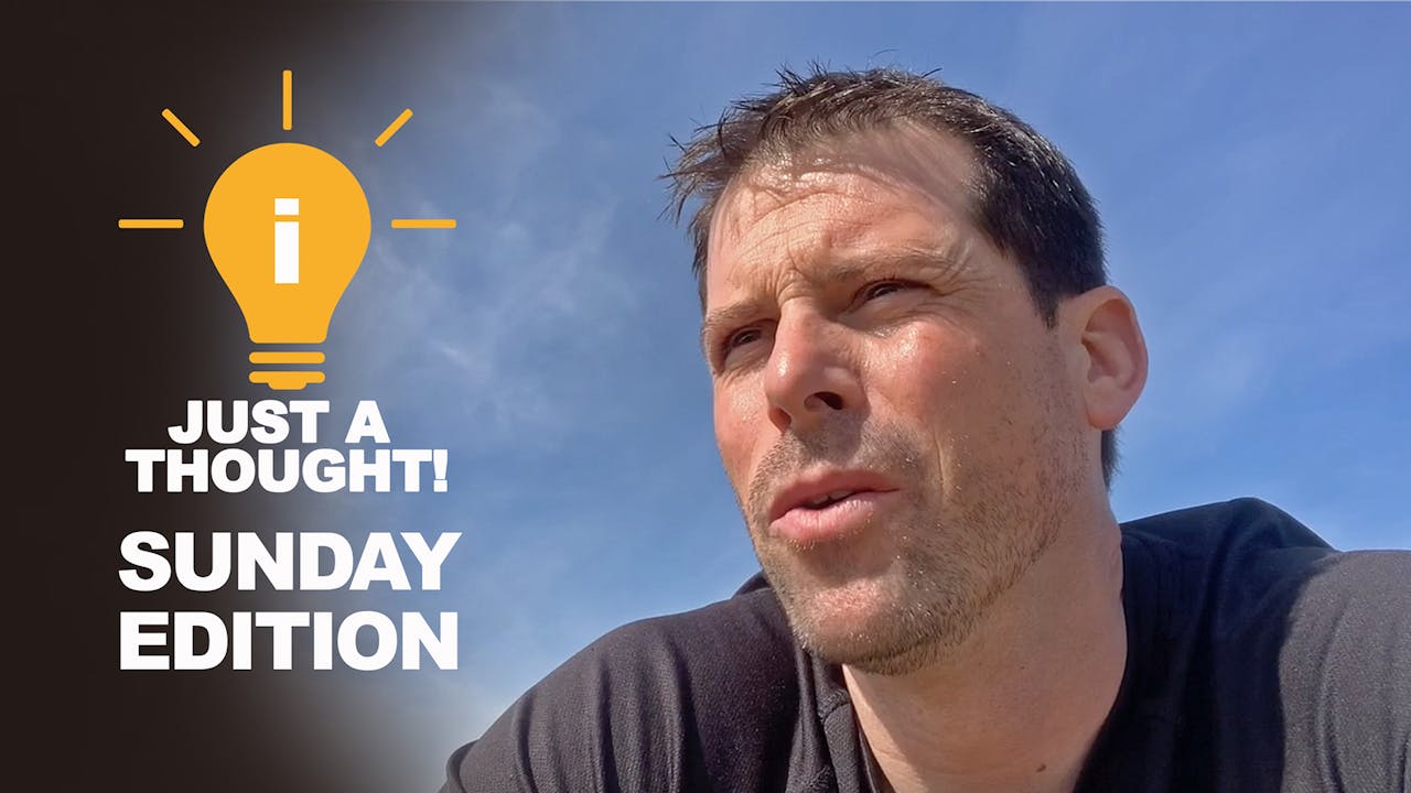 No.6 On How I calm my horses down Horse Training Pro The Comfort