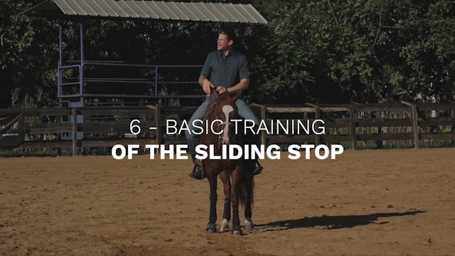 Basics 6 - Training The Stop