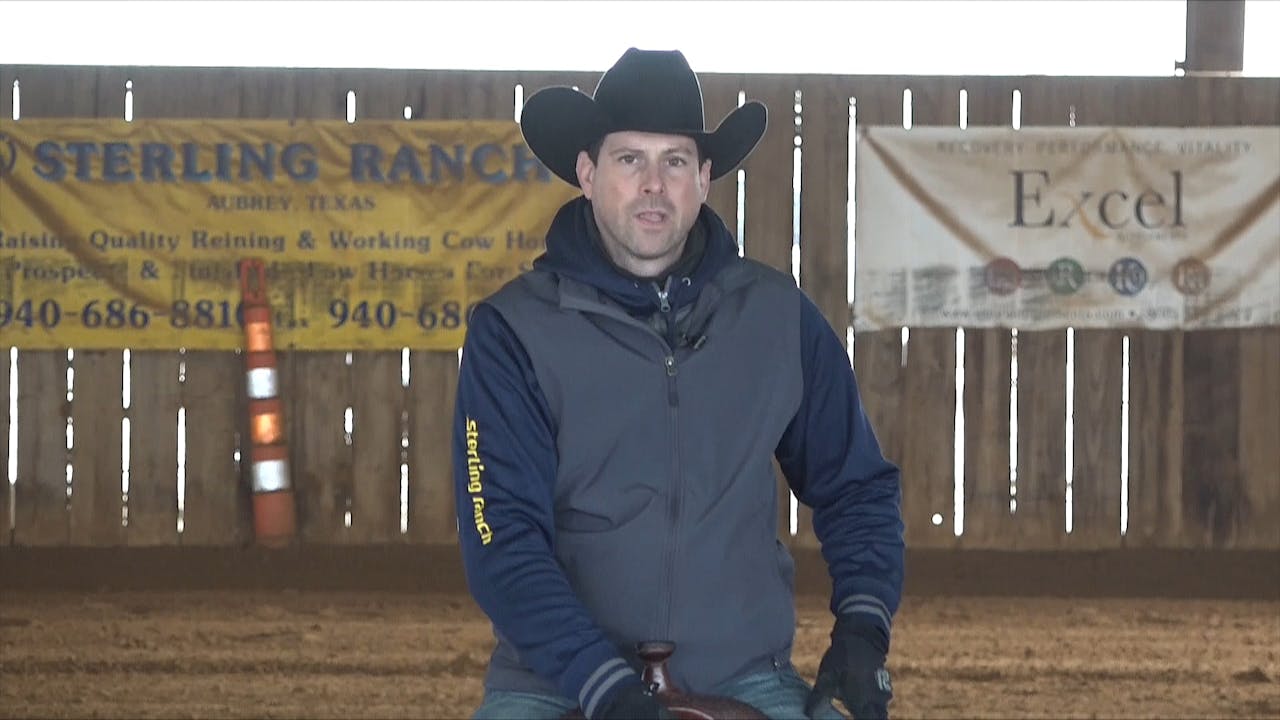 4 Preparing to Show Lead Changes Horse Training Pro The Comfort