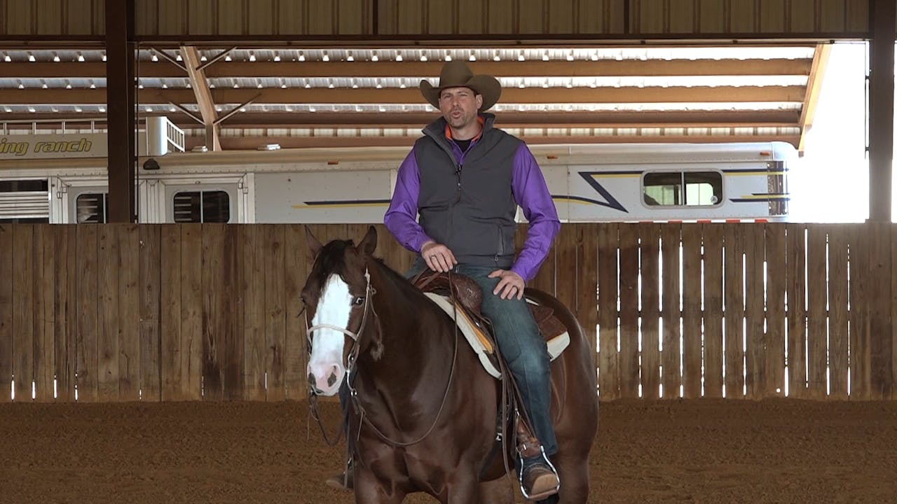 5 The Hip In Shoulder Out Horse Training Pro The Comfort Zone