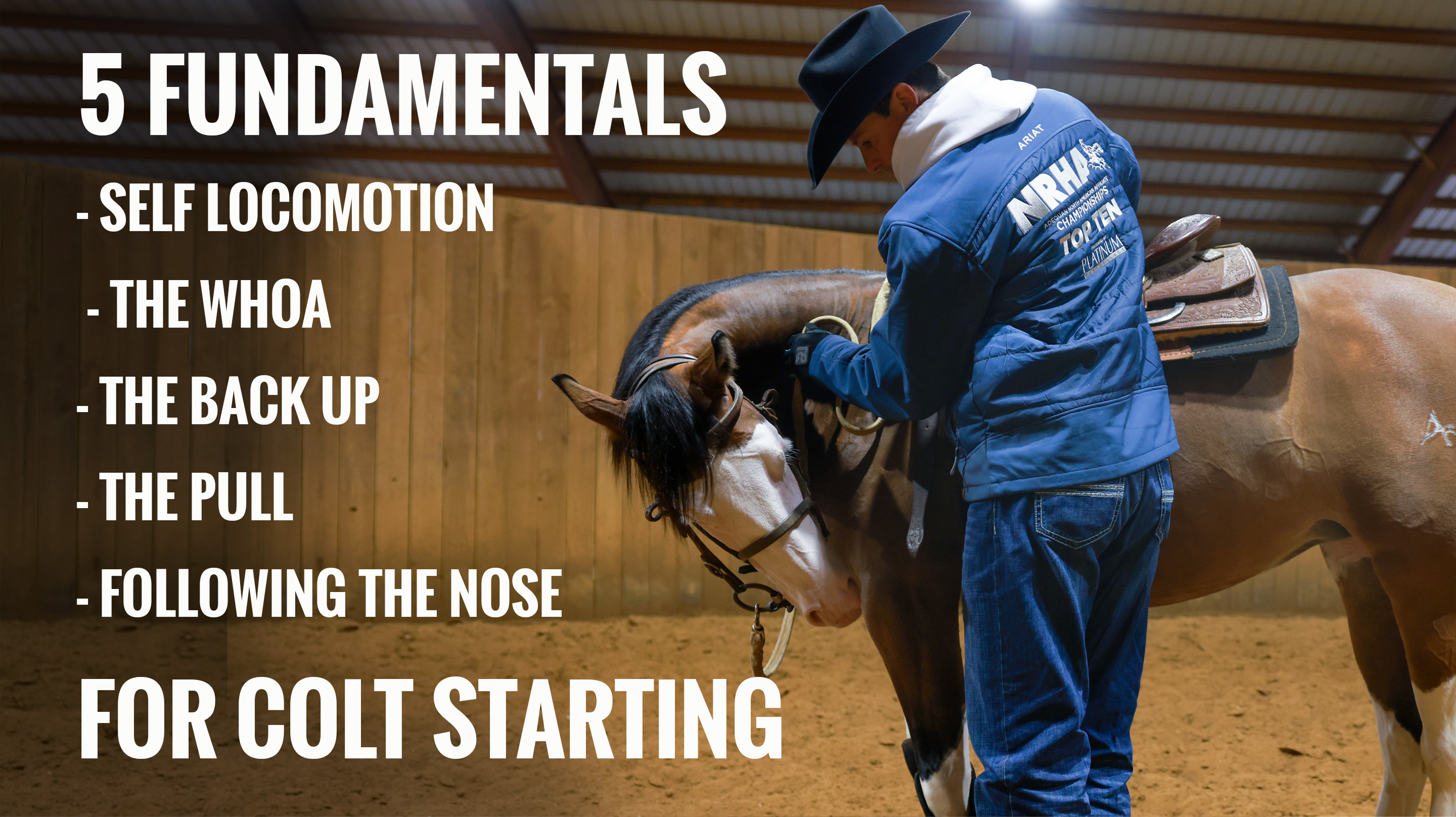 5 Colt Starting Fundamentals