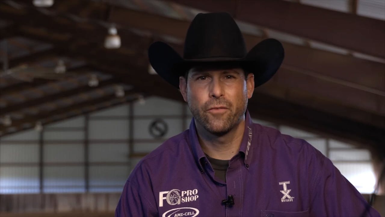 PRESSURE _ RELEASE Training Explained!! 5 Principles Horse Training