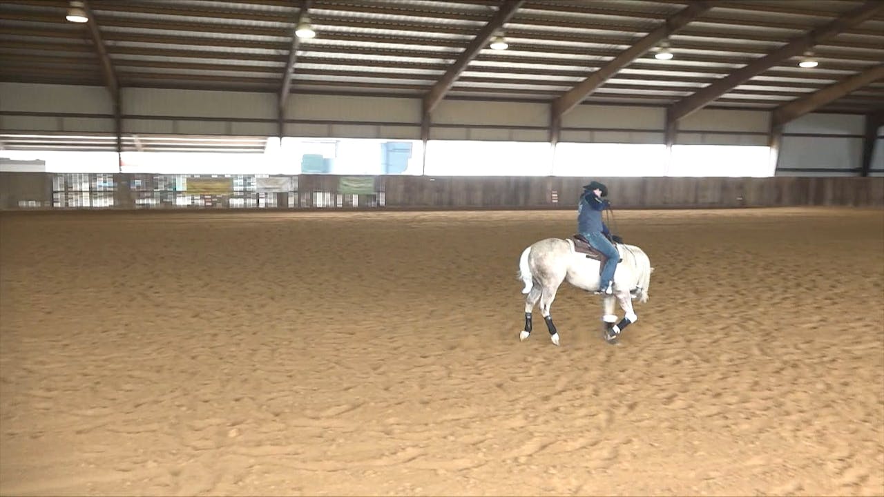 3 Preparing to Show Speed Transitions Horse Training Pro The