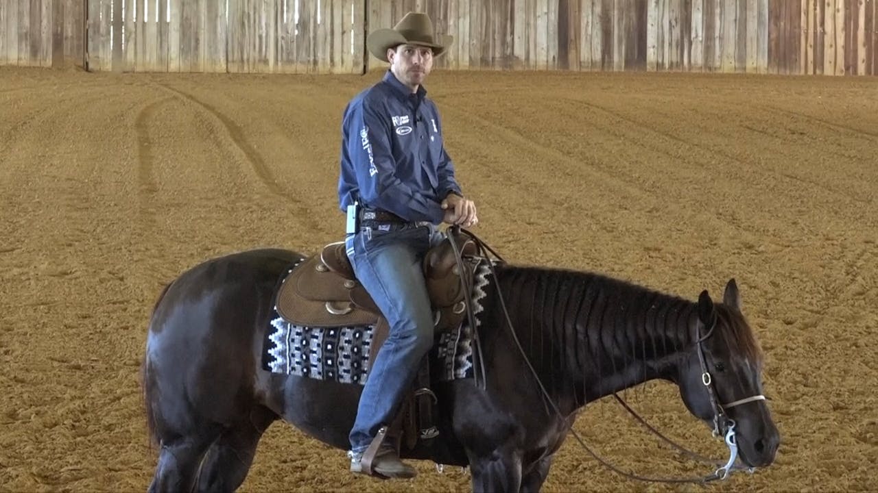 Step 1 The Setup 12 Key Steps to Optimizing Your Maneuvers Horse