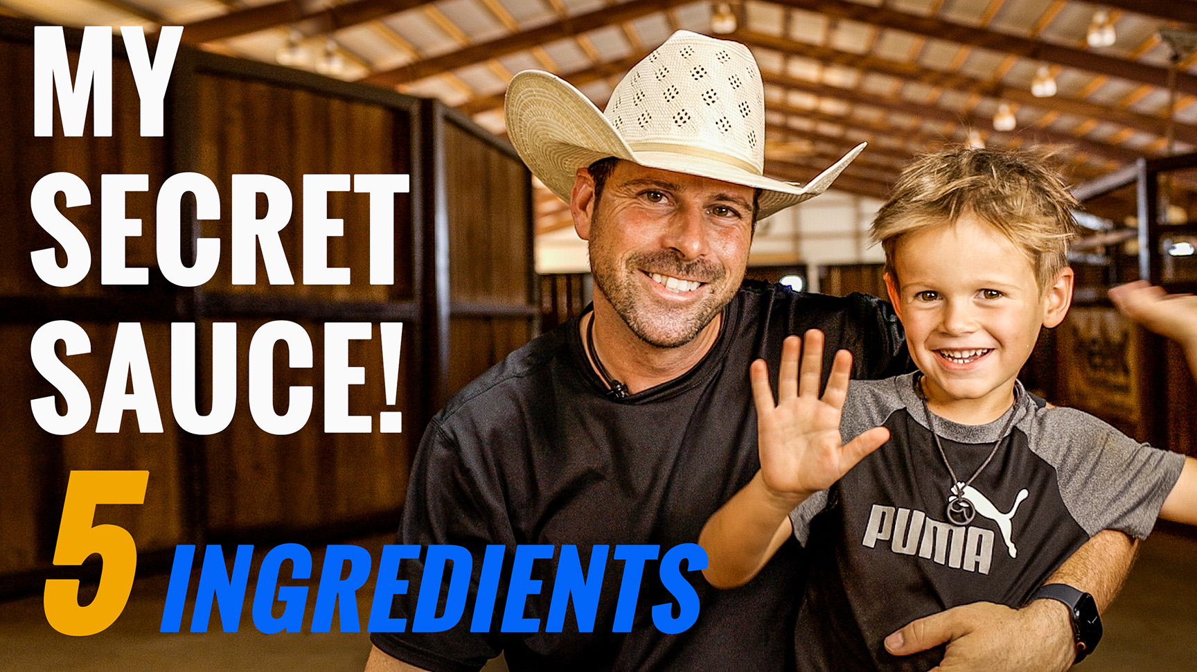 5 Characteristics of a Well Trained Horses