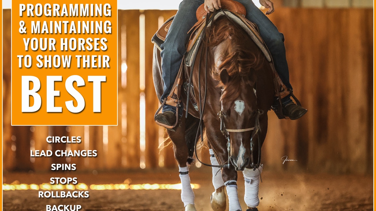 Programming Your Show Horse To His Max Potential