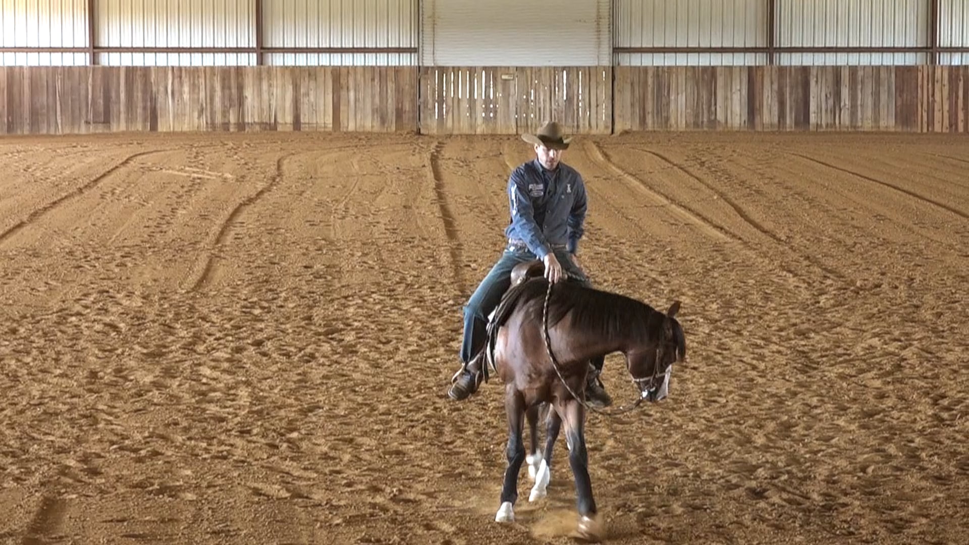 The Foundation - Following The Nose