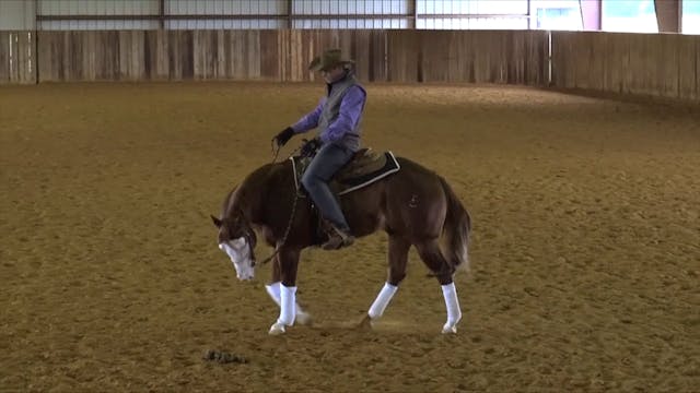 Lateral Hip Control Part -1