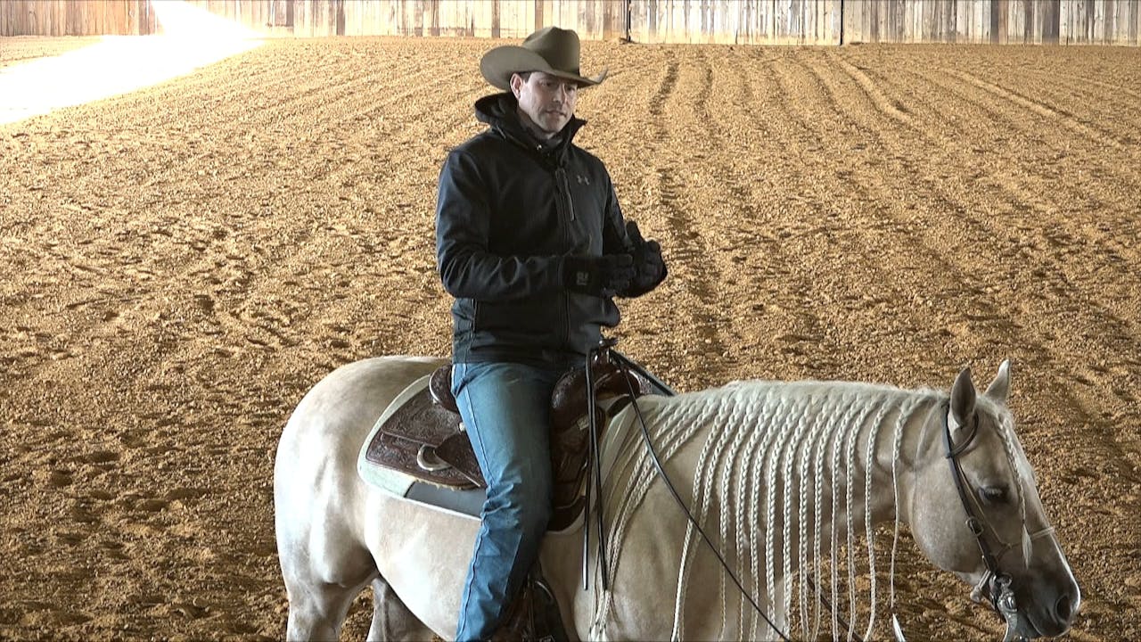 1 of 5 Neutral Funfdamentals to Get Your Horses More Broke Horse