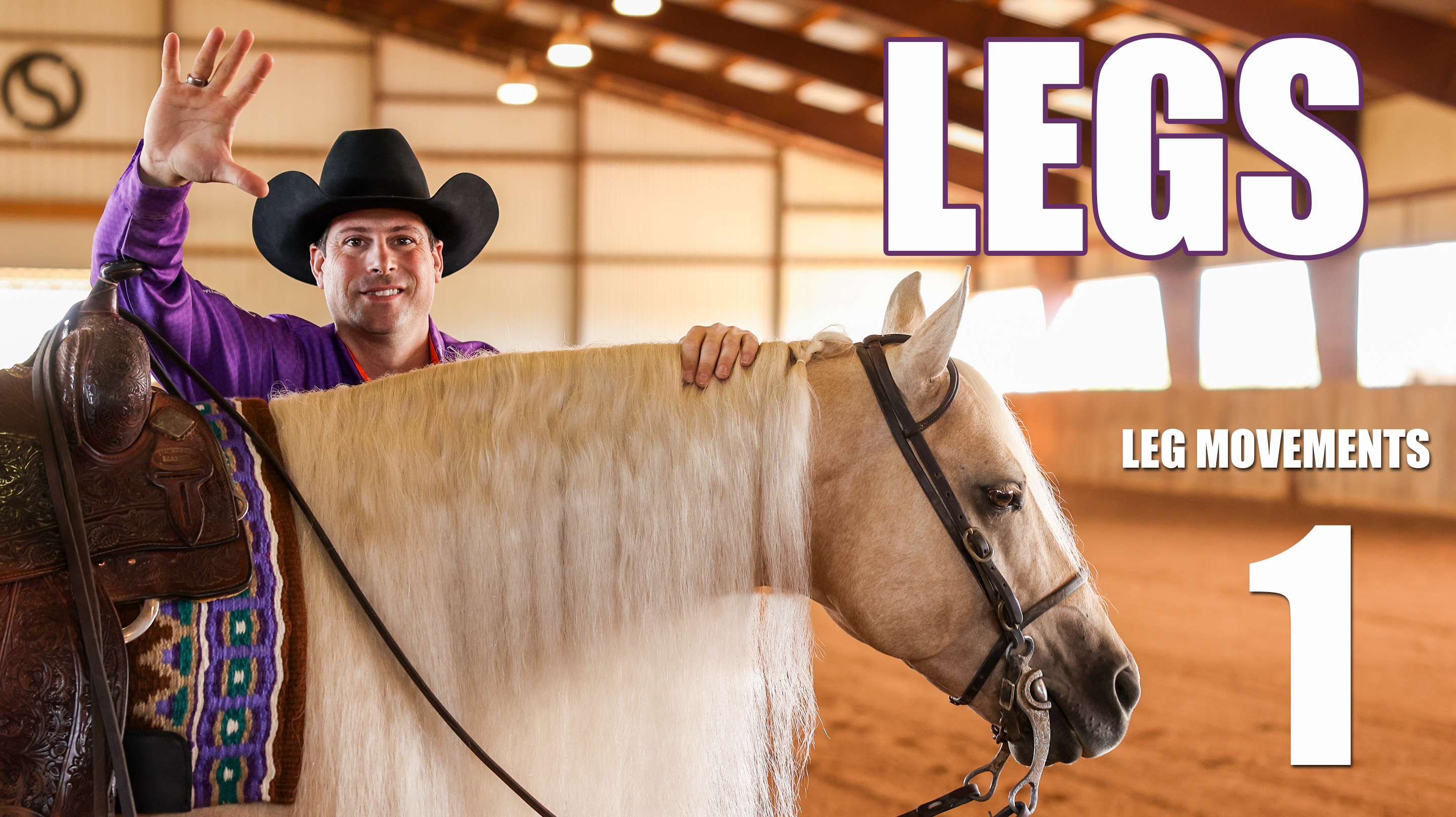 Using Your Legs 1 - Neutral