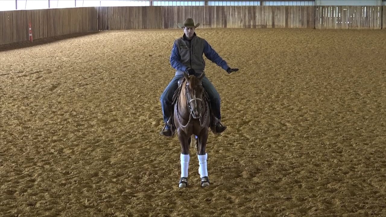 The Foundation Introducing the spin The Foundation Horse Training