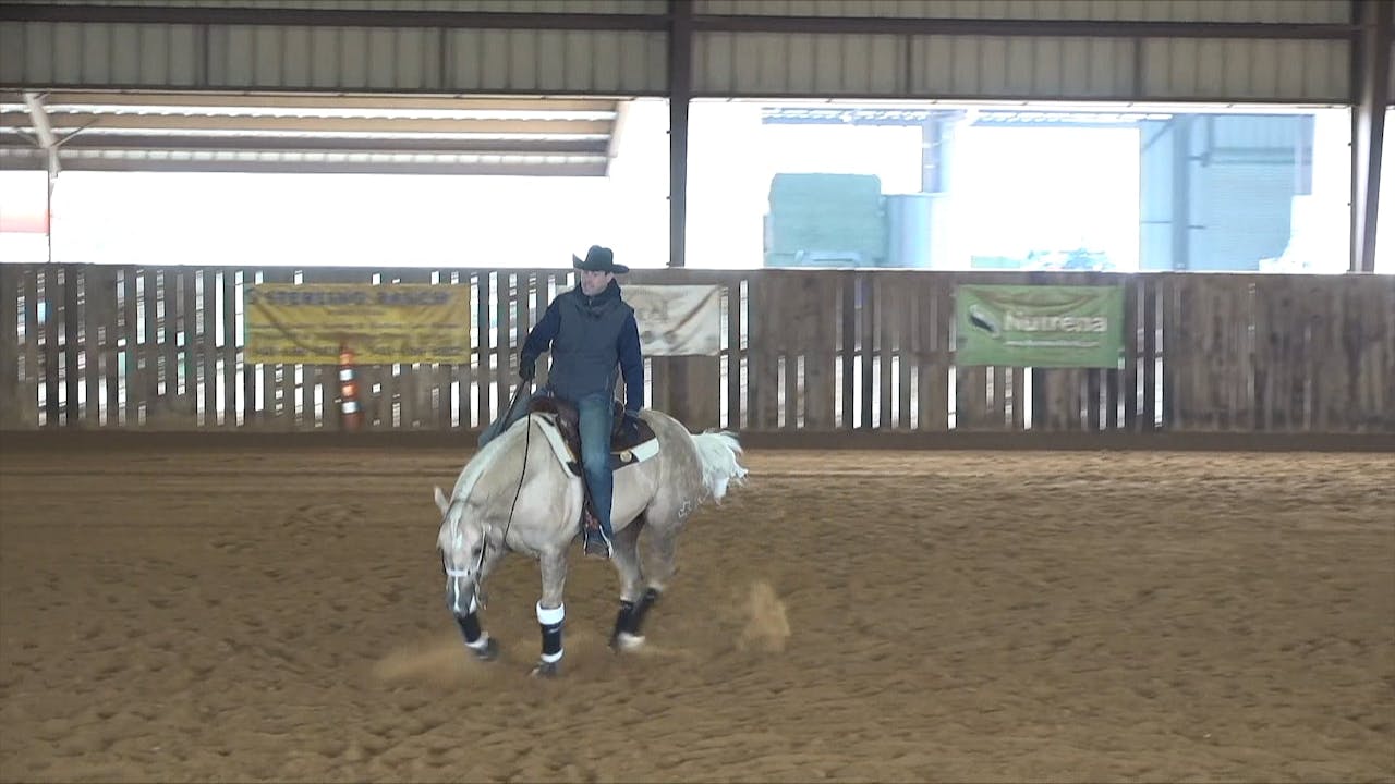 1 Preparing to Show Lead Departures Horse Training Pro The