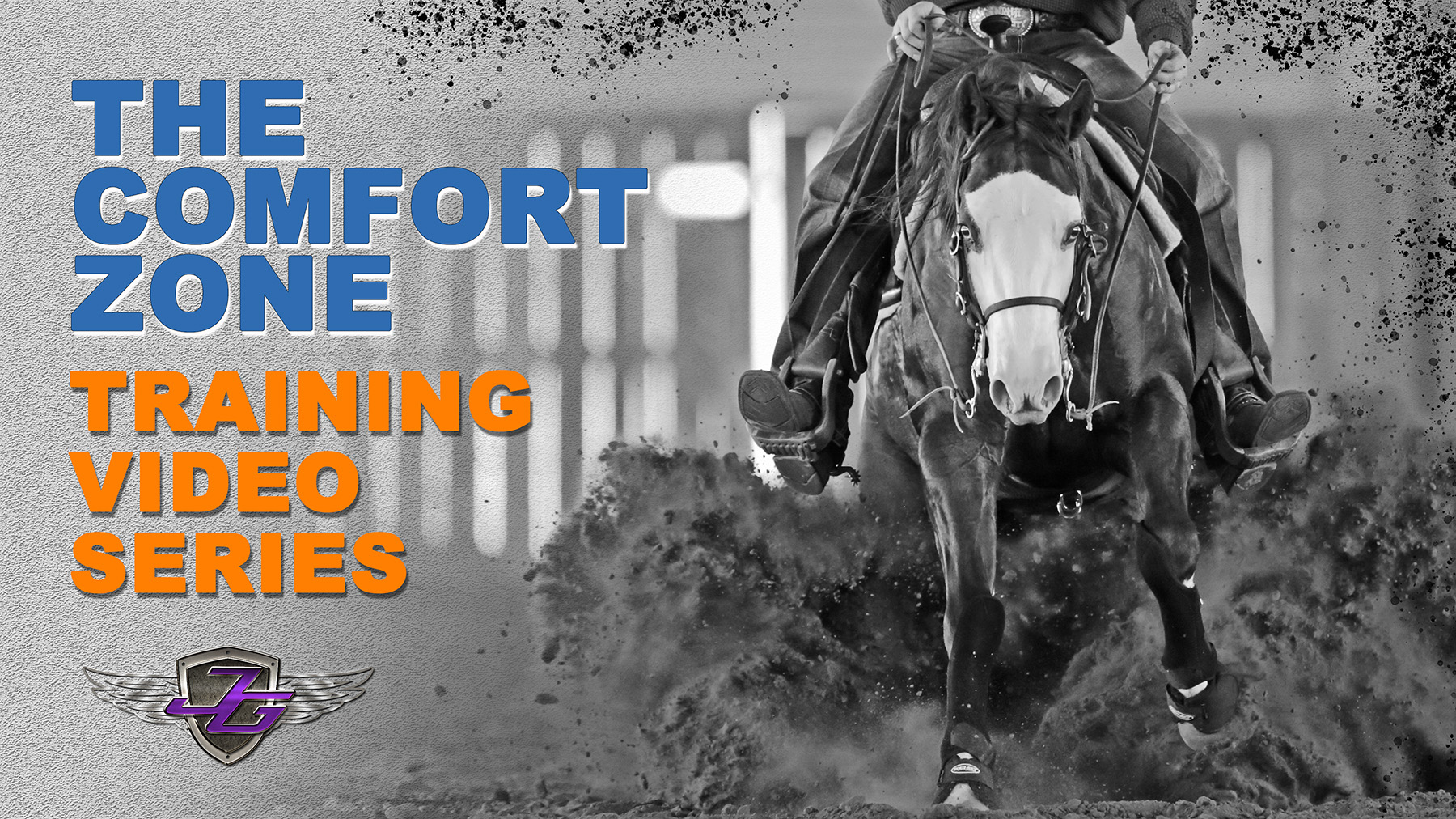 The Comfort Zone Training Video Series