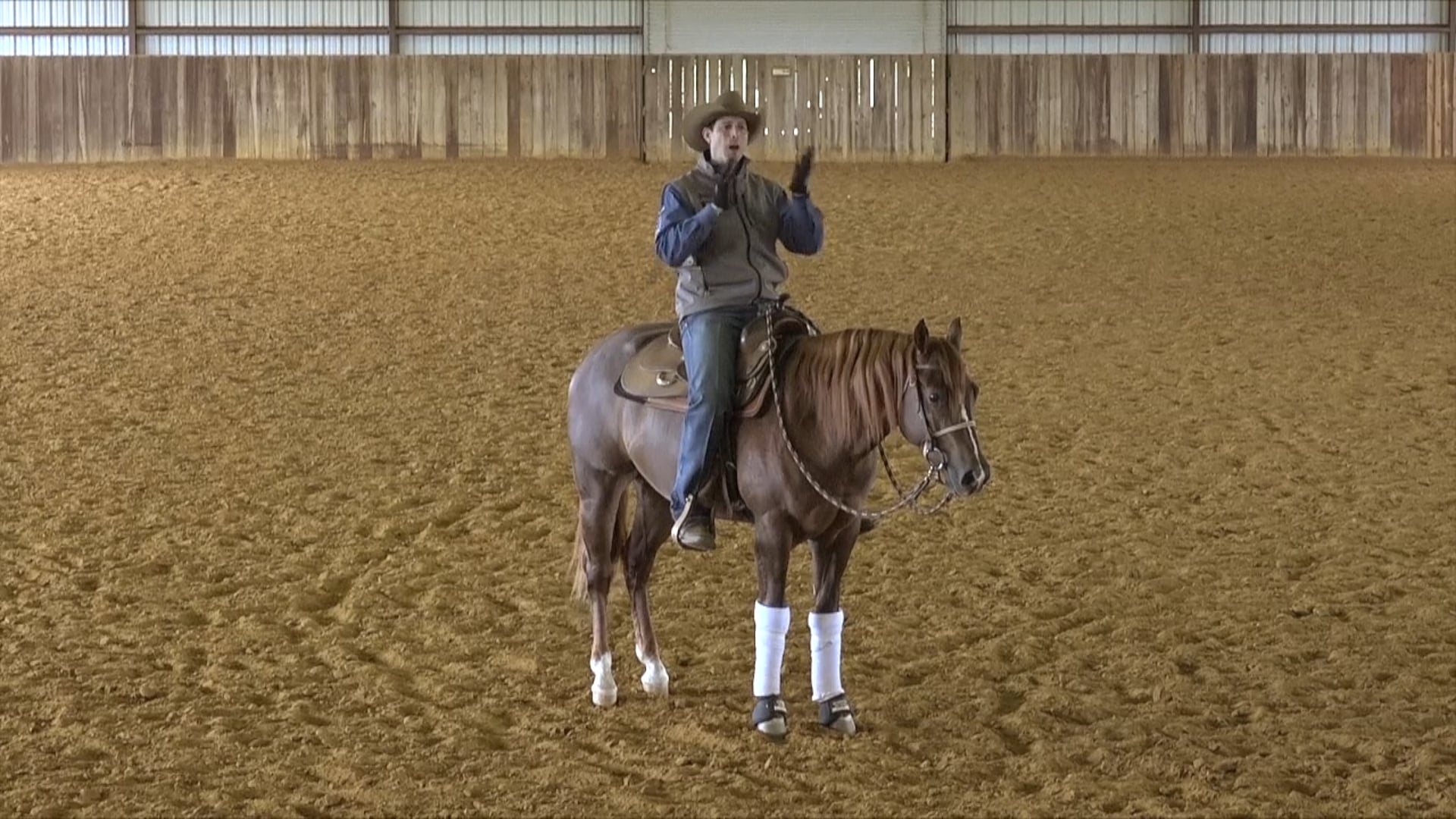 The Foundation - The Backup 2 - Body Mechanics & Muscles