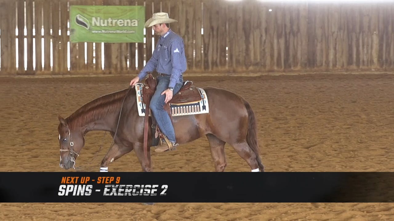 Programming 8 The Spins Exercise 1 Horse Training Pro The Comfort