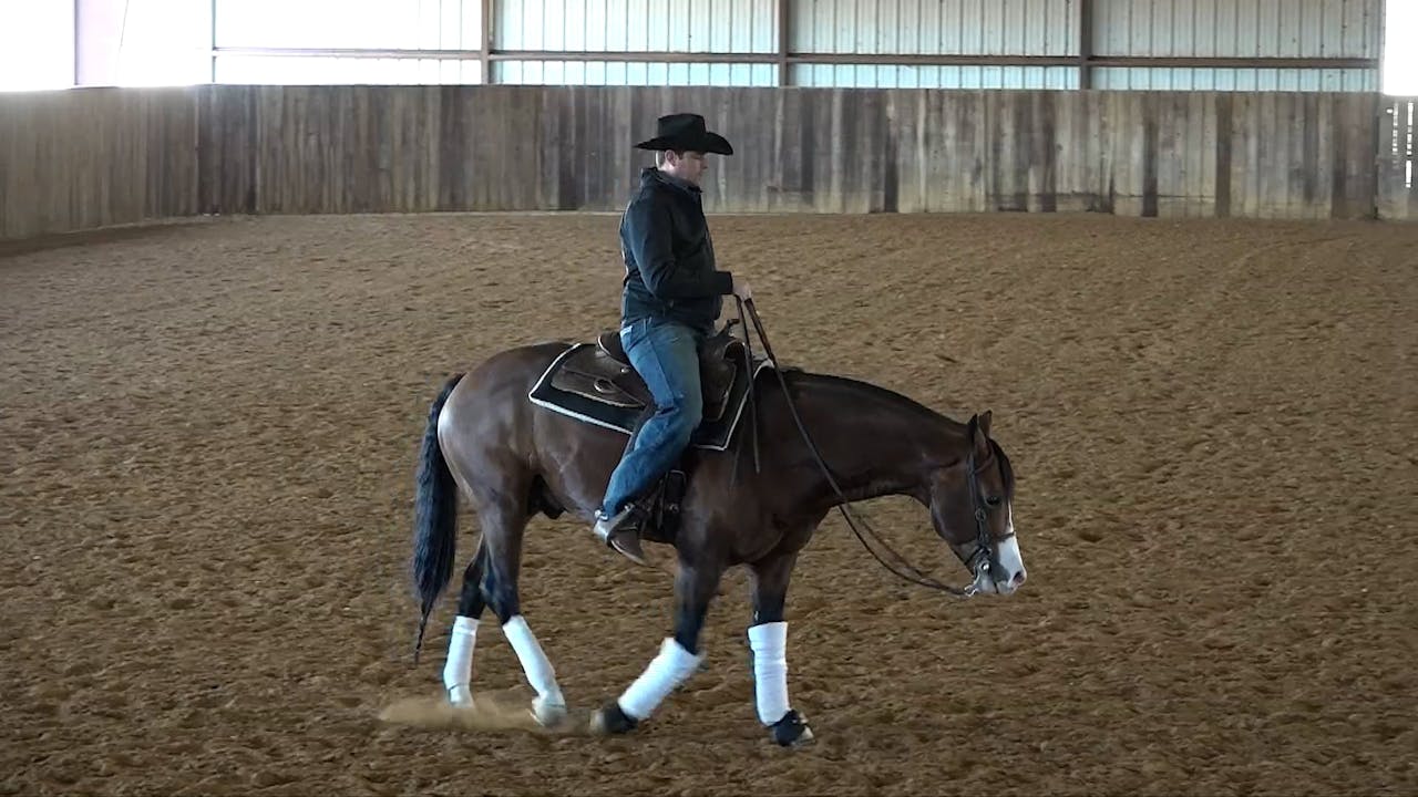Week 1 Spins Horse Training Pro The Comfort Zone Horse Training