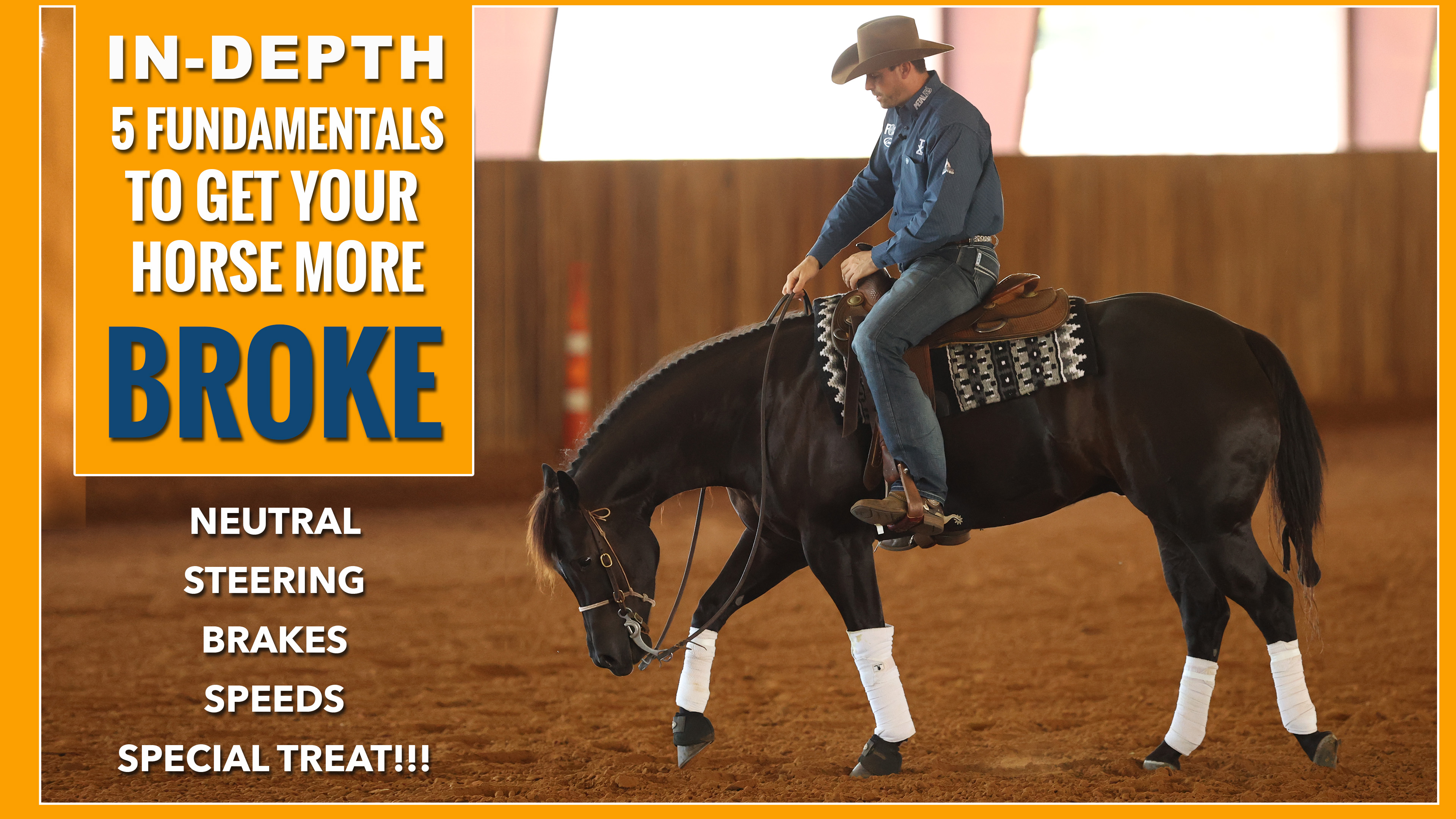 Fundamentals to Get Your Horses More Broke