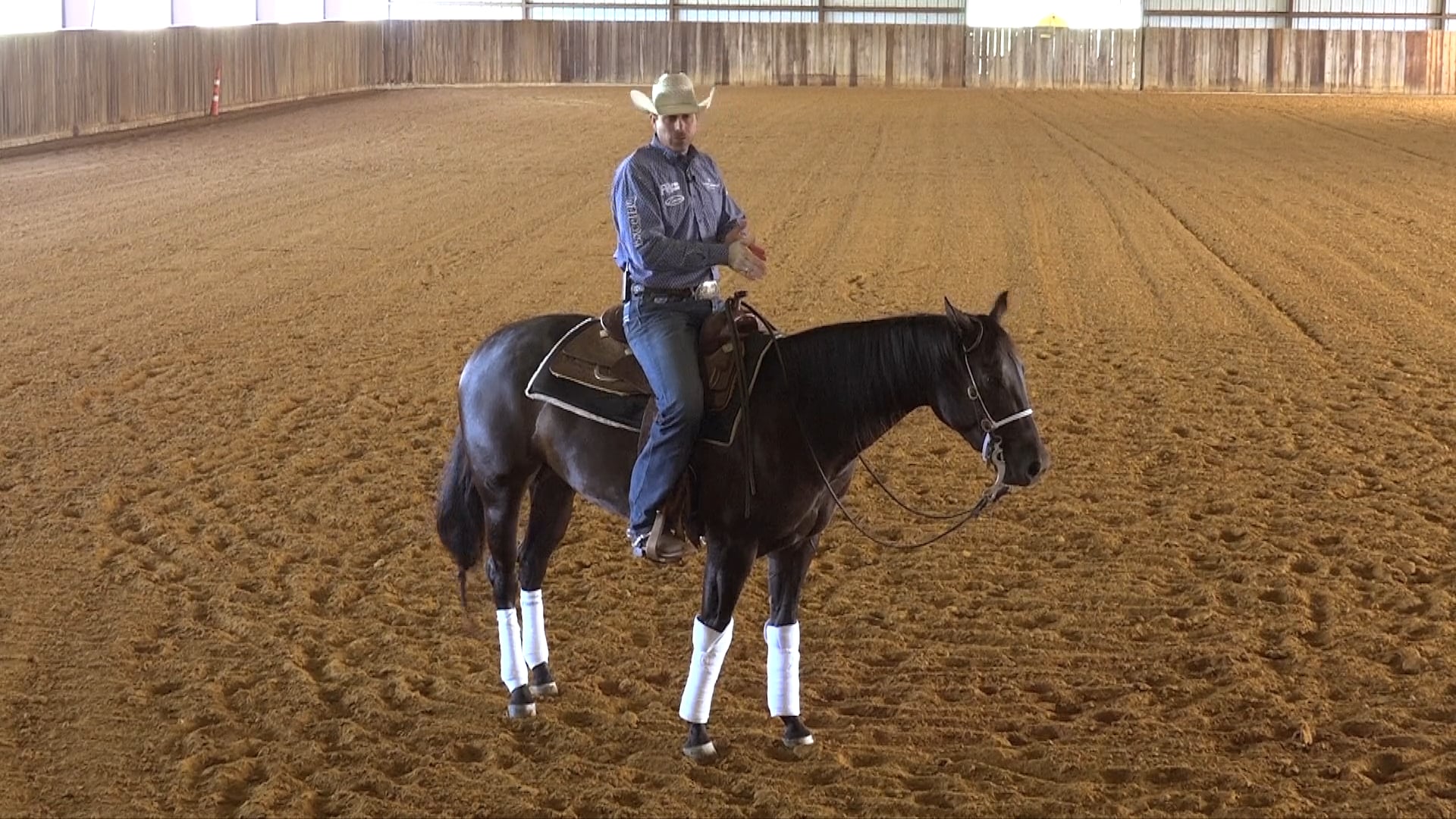 Indirect Rein 3 - How to develop Indirect Rein