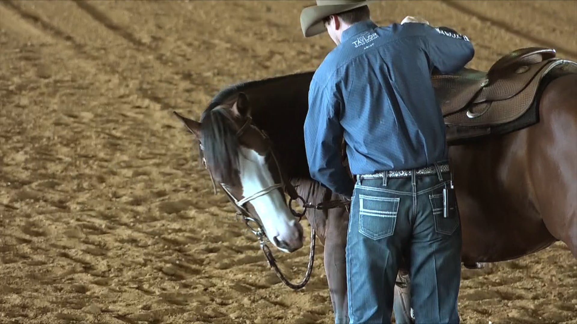 The Foundation - Flexions