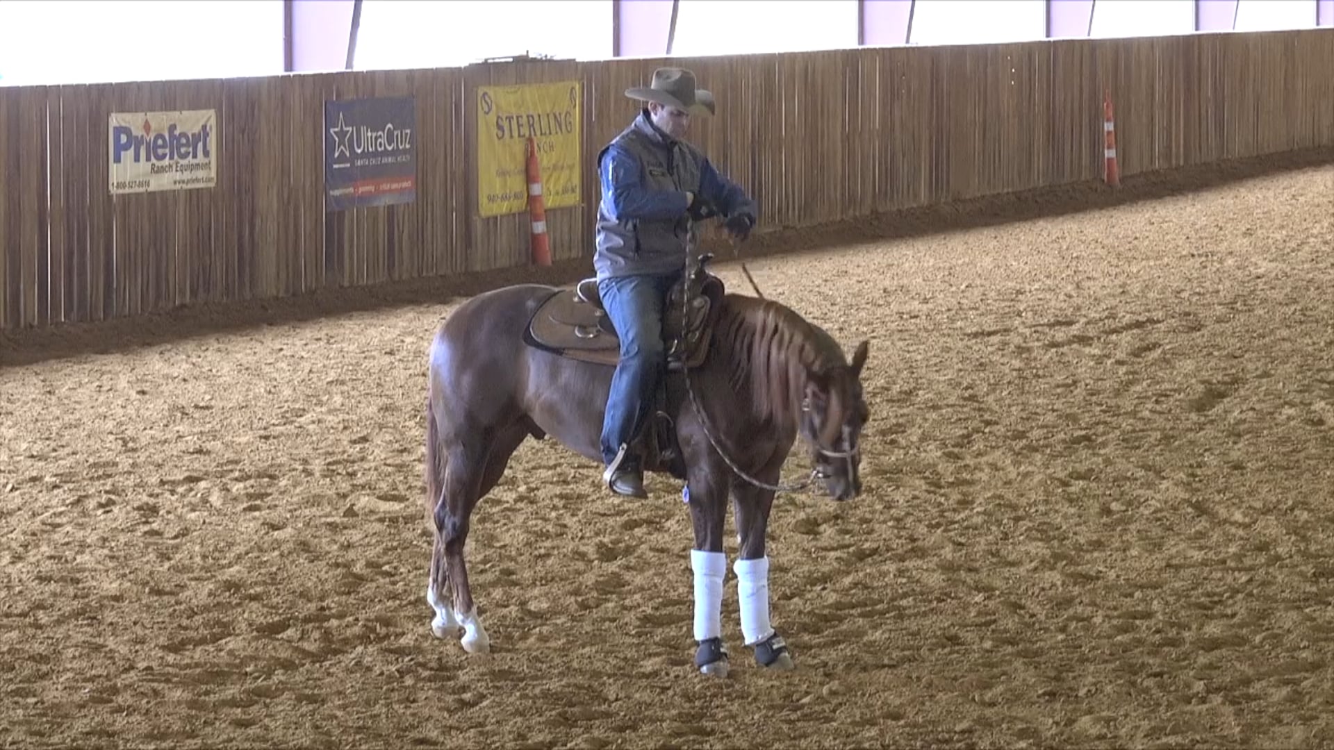 The Foundation - The Backup 3 - Cueing Your Horse