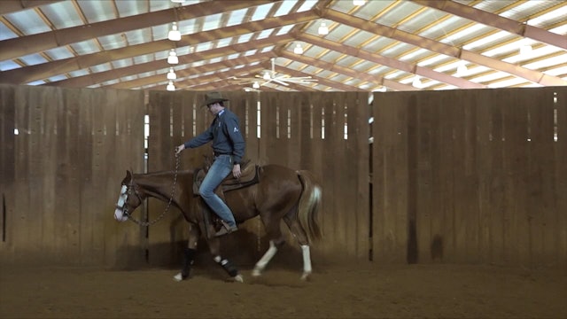 First Rides Step-4 Teaching the Whoa