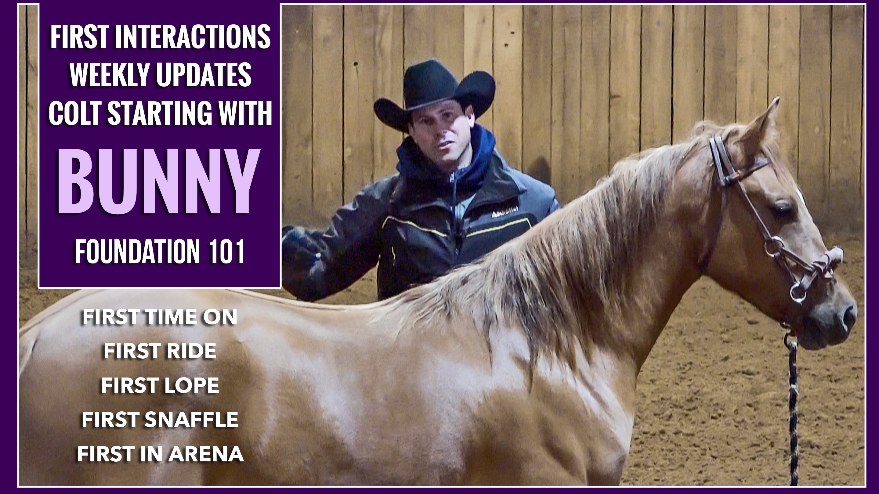 First Interactions with Bunny (Weekly Updates)