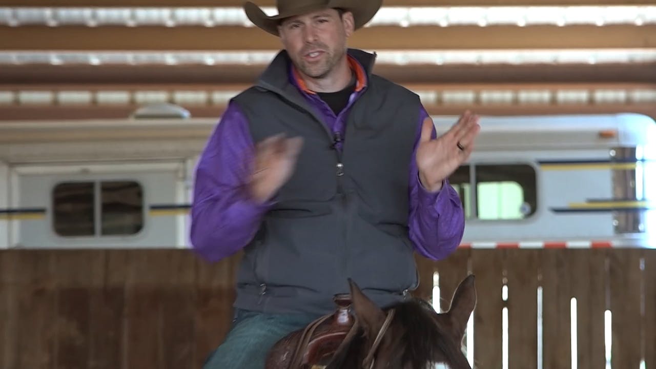 6 The Hip In Shoulder Out In Transitions Horse Training Pro The