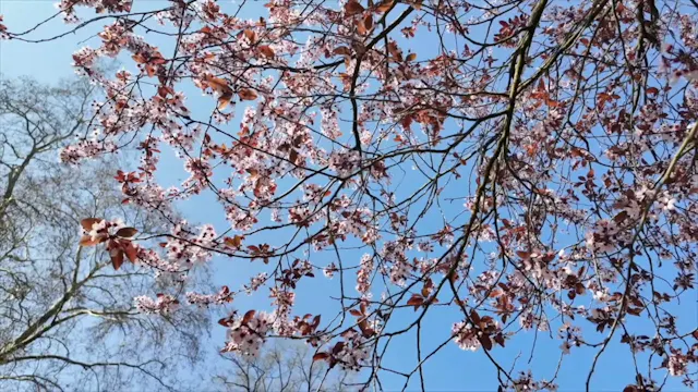 Day 4 "Connect to Grow"