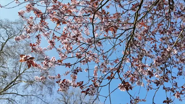 Day 2 "Connect to Release"