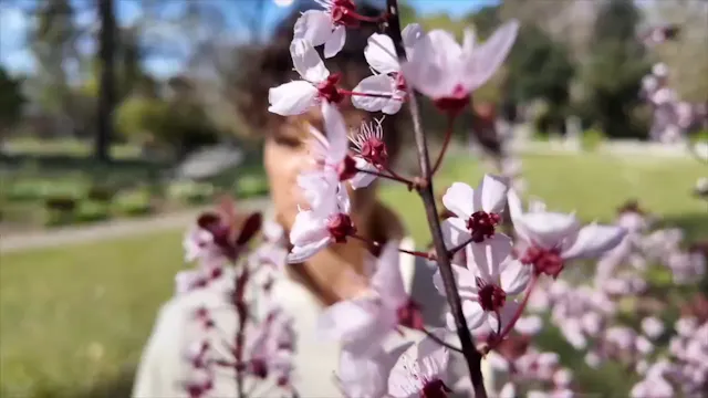 Day 1 "Connect to Now"