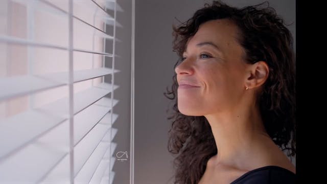 Bonus Video: The Shake Off