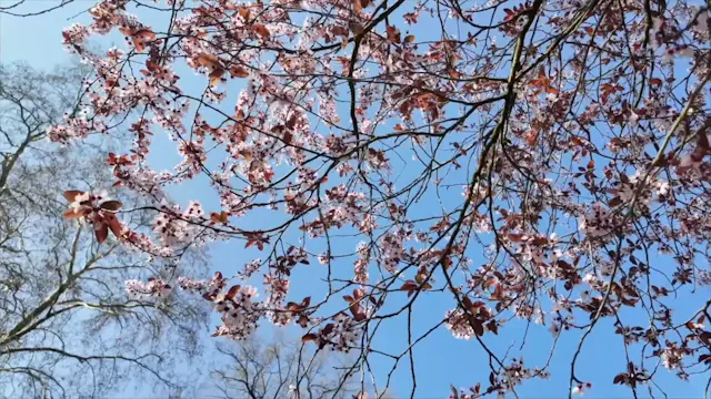 Day 3 "Connect to Change"